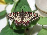 /album/fotogaleria/images5vpt707q-jpg/