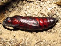 /album/fotogaleria/imagescd09vqwg-jpg/