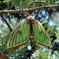 /album/fotogaleria/imagesf7dwu3nq-jpg/