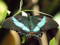 /album/fotogaleria/imageslrpwx3lk-jpg/