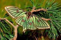 /album/fotogaleria/imagesksfodjd2-jpg/