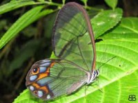 /album/fotogaleria/imagesjl9hnqoz-jpg/