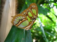 /album/fotogaleria/imagest9n3qb4e-jpg/