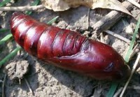 /album/fotogaleria/imagesvkx39237-jpg/