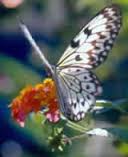 /album/fotogaleria/imageswytfs079-jpg/