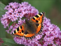 /album/fotogaleria/imagesx27pq3qe-jpg/